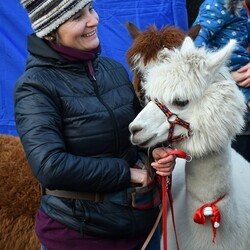 Świąteczne Kochłowice 2.0