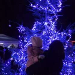 Choinki ustrojone przez mieszkańców