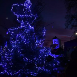 Choinki ustrojone przez mieszkańców