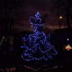 Choinki ustrojone przez mieszkańców