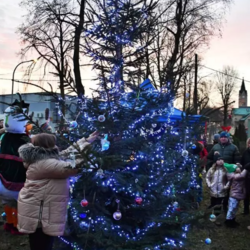 Choinki ustrojone przez mieszkańców