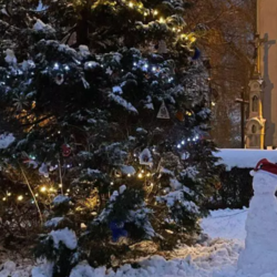 Choinki ustrojone przez mieszkańców