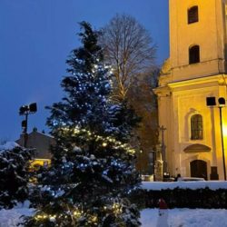 Choinki ustrojone przez mieszkańców