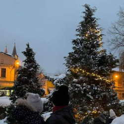 Choinki ustrojone przez mieszkańców