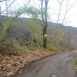 Płonąca hałda w Rudzie Śląskiej