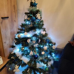 Bożonarodzeniowe drzewka naszych czytelników