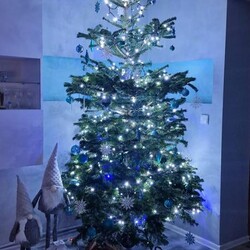 Bożonarodzeniowe drzewka naszych czytelników