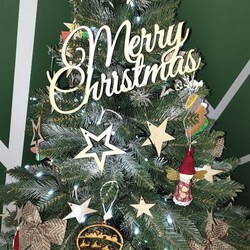 Bożonarodzeniowe drzewka naszych czytelników