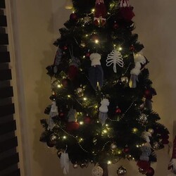 Bożonarodzeniowe drzewka naszych czytelników