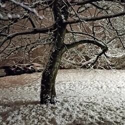 Zima w Rudzie Śląskiej - Czytelnicy