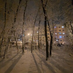 Zima w Rudzie Śląskiej - Czytelnicy