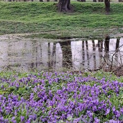 Pierwsze oznaki wiosny