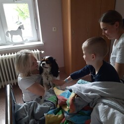 Dogoterapia w rudzkim szpitalu