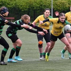 Turniej Rugby