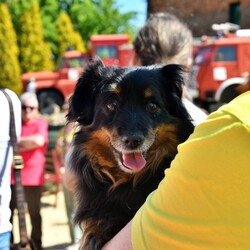 Nowy sezon w Muzeum Historii Polski Ludowej