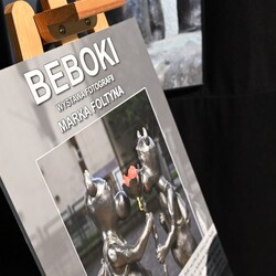 Niy ino gŏdōmy, ale tyż czytōmy