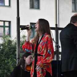 Dni Rudy Śląskiej - Święto Herbu