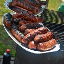 Bieg Wiewiórki Lipiec 2024