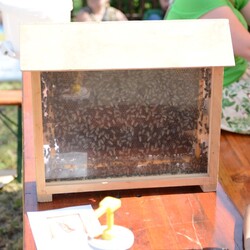 Piknik przy Piekaroku