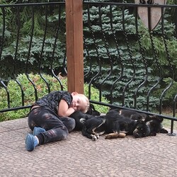 Międzynarodowy Dzień Psa