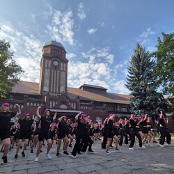 Ruda Śląska po raz kolejny bierze udział w akcji WORK it OUT