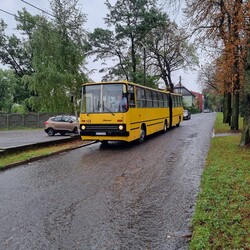 1. Rudzki Festiwal Dziedzictwa