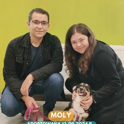 Rekordowy tydzień adopcji w Faunie