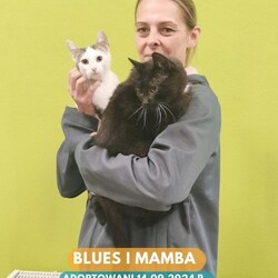 Rekordowy tydzień adopcji w Faunie