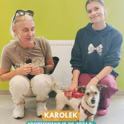 Rekordowy tydzień adopcji w Faunie