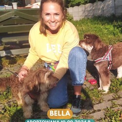 Rekordowy tydzień adopcji w Faunie