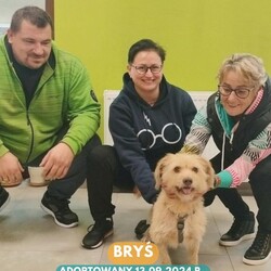 Rekordowy tydzień adopcji w Faunie