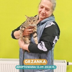 Rekordowy tydzień adopcji w Faunie