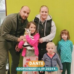 Rekordowy tydzień adopcji w Faunie
