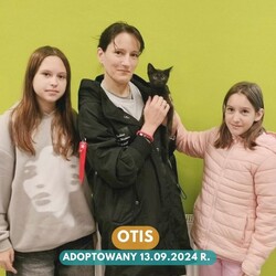 Rekordowy tydzień adopcji w Faunie