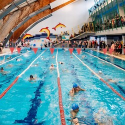 Zawody UKS Manta Kochłowice