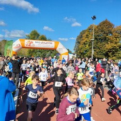 Bieg Wiewiórki Październik