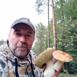 Konkurs "Pochwalcie się swoimi grzybowymi zbiorami"