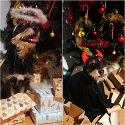 Konkurs Mikołajkowy