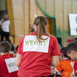 Mini Mistrzostwa Świata w Mini Piłce Ręcznej