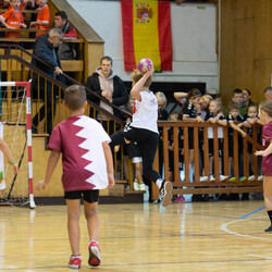 Mini Mistrzostwa Świata w Mini Piłce Ręcznej