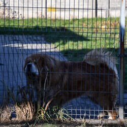 Kiermasz Świateczny TOZ Fauna