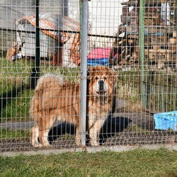 Kiermasz Świateczny TOZ Fauna