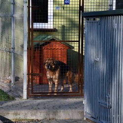 Kiermasz Świateczny TOZ Fauna
