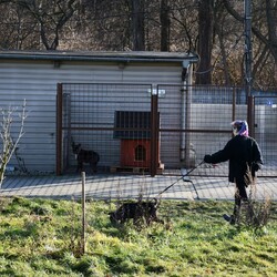 Kiermasz Świateczny TOZ Fauna