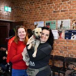 Kiermasz Świateczny TOZ Fauna