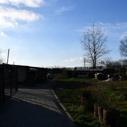 Kiermasz Świateczny TOZ Fauna