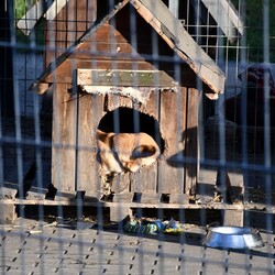 Kiermasz Świateczny TOZ Fauna