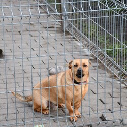 Kiermasz Świateczny TOZ Fauna