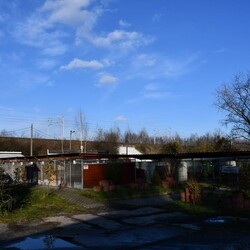 Kiermasz Świateczny TOZ Fauna