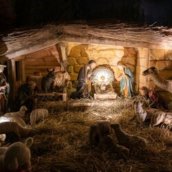 Szopki Bożonarodzeniowe w rudzkich kościołach